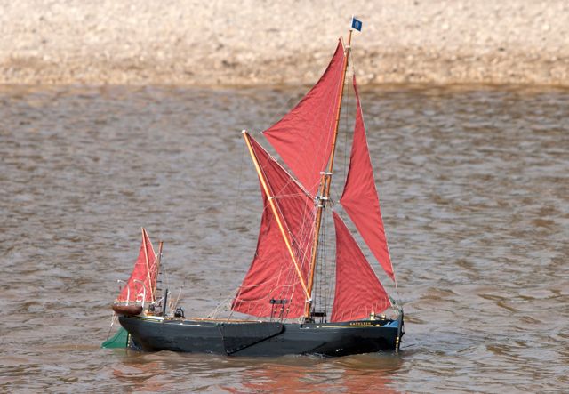 DSC06854 © Peter Taylor 2011