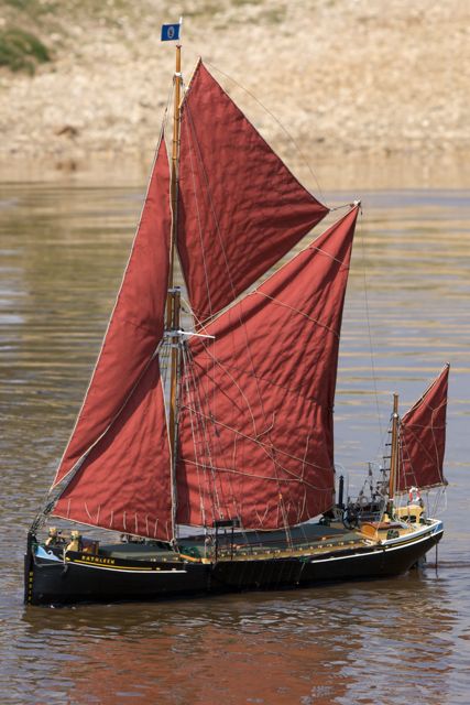 DSC04839 © Peter Taylor 2011