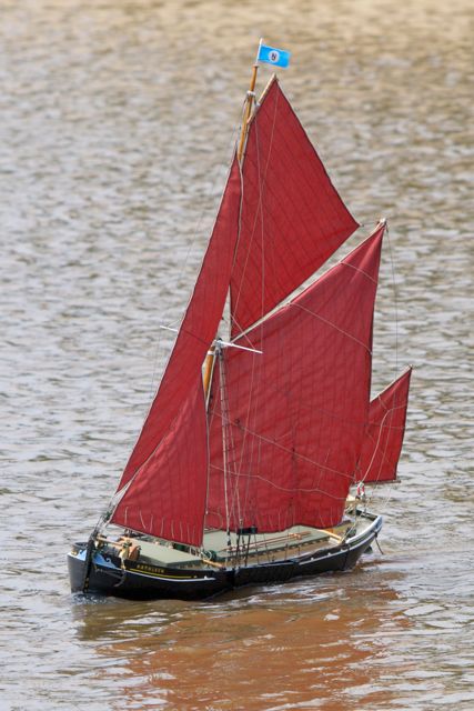 DSC06858 © Peter Taylor 2011