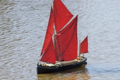 DSC07932 © Peter Taylor 2011