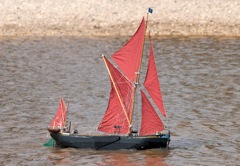DSC06854 © Peter Taylor 2011
