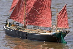DSC04852 © Peter Taylor 2011