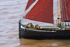 DSC04848 © Peter Taylor 2011
