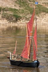 DSC04838 © Peter Taylor 2011