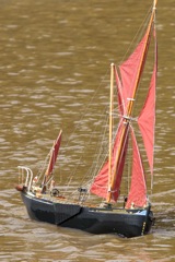 DSC06861 © Peter Taylor 2011