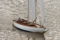 DSC06172 © Peter Taylor 2011