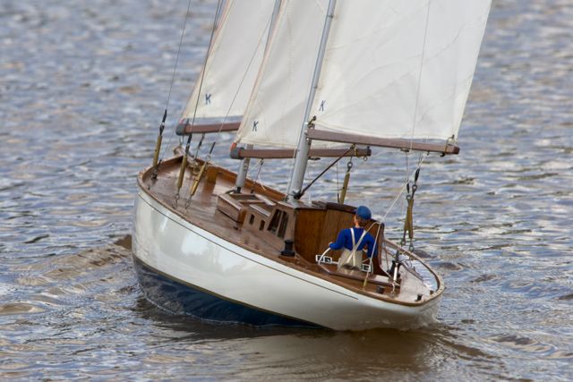 DSC06118 © Peter Taylor 2011