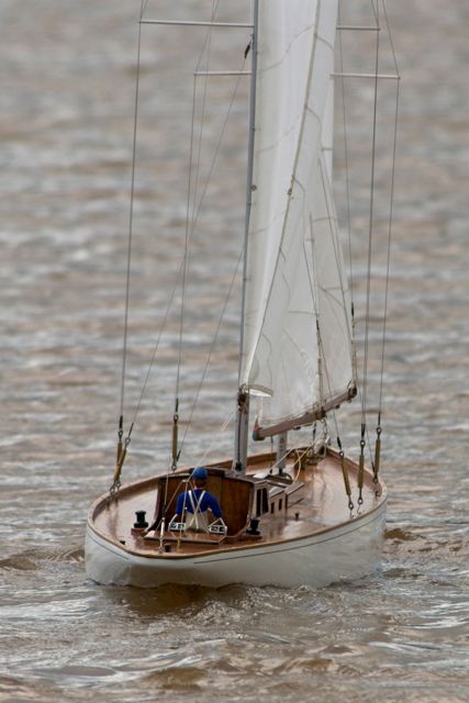 DSC06212 © Peter Taylor 2011