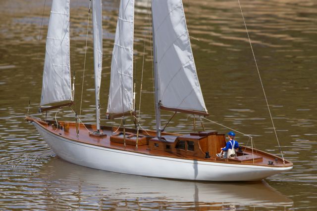 DSC06098 © Peter Taylor 2011
