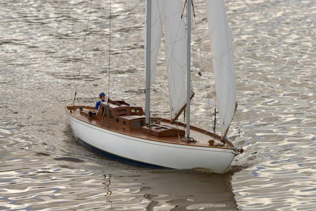 DSC06172 © Peter Taylor 2011