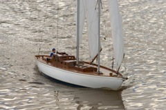 DSC06172 © Peter Taylor 2011