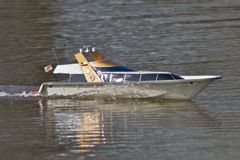 DSC09497 © Peter Taylor 2012