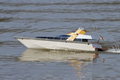DSC09504 © Peter Taylor 2012