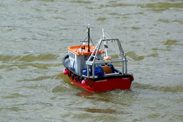 Kingfisher (03)