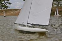 DSC01342 © Peter Taylor 2012
