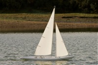 DSC08561 © Peter Taylor 2011