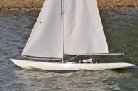 DSC08587 © Peter Taylor 2011