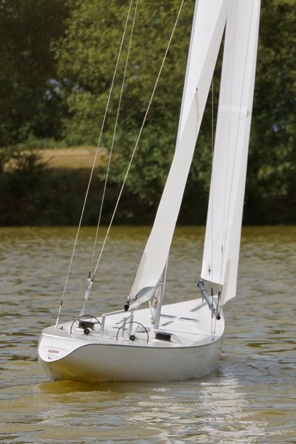 DSC01347 © Peter Taylor 2012