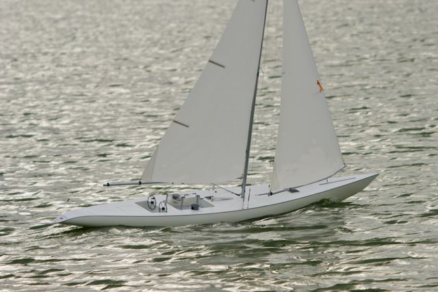 DSC08640 © Peter Taylor 2011