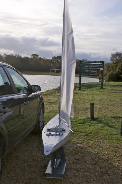 DSC08551 © Peter Taylor 2011