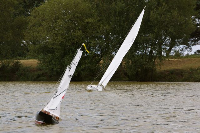 DSC01337 © Peter Taylor 2012