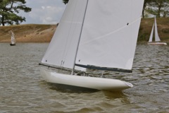 DSC01342 © Peter Taylor 2012
