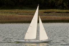 DSC08561 © Peter Taylor 2011