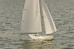 DSC08564 © Peter Taylor 2011