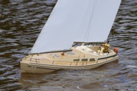 DSC06419 © Peter Taylor 2011