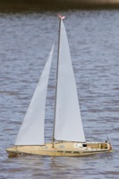 DSC06431 © Peter Taylor 2011