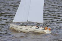 DSC06418 © Peter Taylor 2011