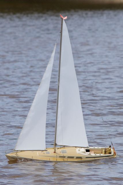 DSC06431 © Peter Taylor 2011
