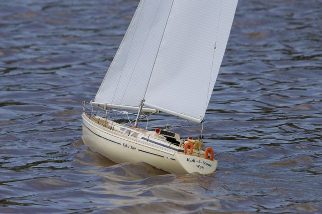 DSC06425 © Peter Taylor 2011