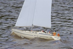 DSC06418 © Peter Taylor 2011