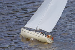 DSC06423 © Peter Taylor 2011