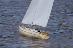 DSC06425 © Peter Taylor 2011