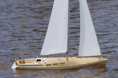 DSC06435 © Peter Taylor 2011