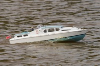 DSC06778 © Peter Taylor 2011