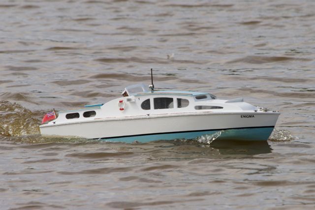 DSC06776 © Peter Taylor 2011