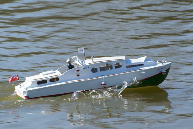 DSC02978 © Peter Taylor 2010
