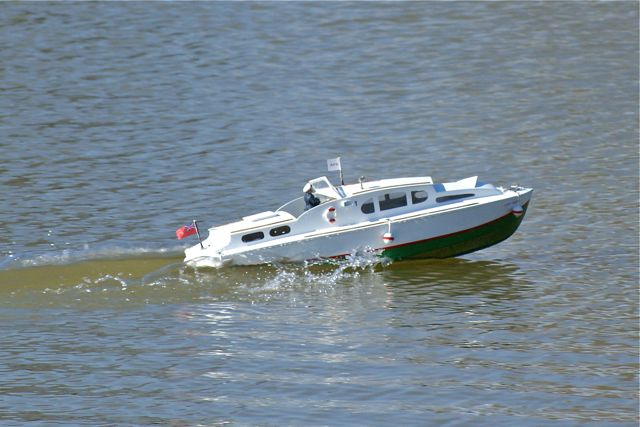 DSC02975 © Peter Taylor 2010