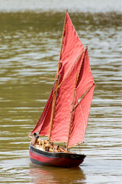 DSC03560 © Peter Taylor 2013