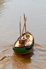 DSC05791 © Peter Taylor 2014