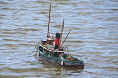 DSC01326 © Peter Taylor 2012