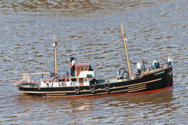 DSC09557 © Peter Taylor 2012