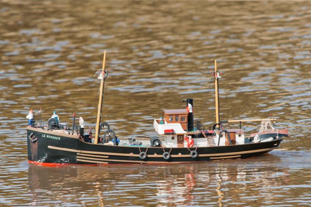 DSC09552 © Peter Taylor 2012