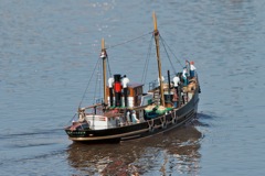 DSC09559 © Peter Taylor 2012