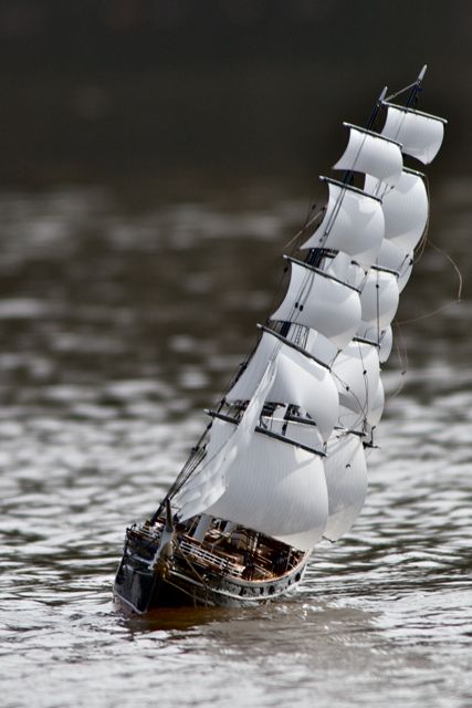 DSC04064 © Peter Taylor 2011