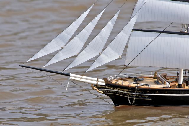 DSC04018 © Peter Taylor 2011