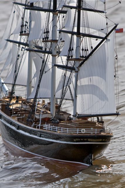 DSC03974 © Peter Taylor 2011